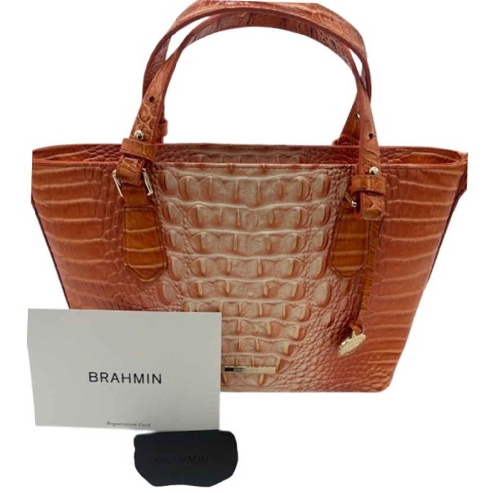 New Brahmin Misha‎ Sherbert Ombre Melbourne Leather Satchel Bag Purse